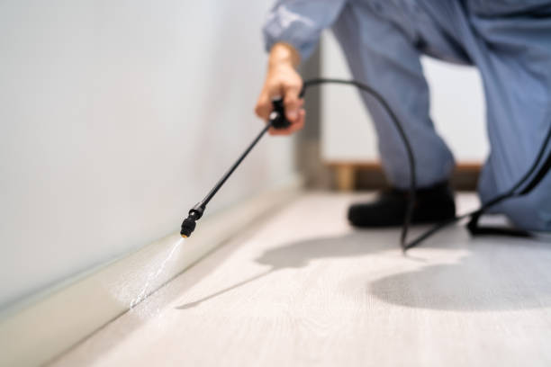 Licensed Termite Control service in Cedar Ridge, CA - Nex Pest Control