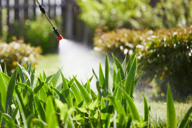 24/7 Emergency Termite Control experts in Cedar Ridge, CA
