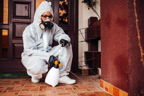 Reliable Termite Control contractor in Cedar Ridge, CA by Nex Pest Control